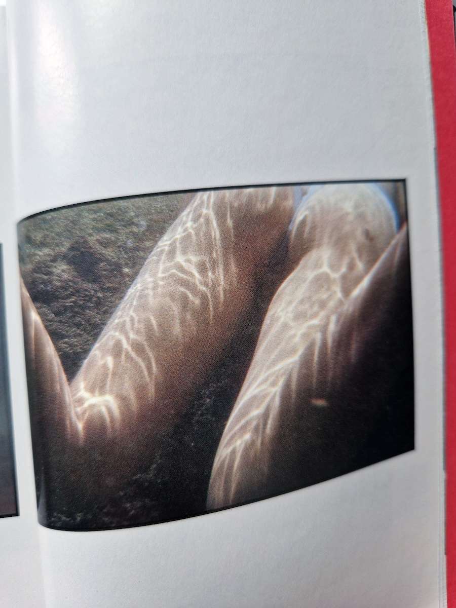 Adult Photography Peeping Part V Ikko Kagari 10 Adult Photography Peeping Part V Ikko Kagari 10