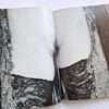 Erotos Nobuyoshi Araki 12 Erotos Nobuyoshi Araki 12