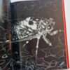 Erotos Nobuyoshi Araki 13 Erotos Nobuyoshi Araki 13