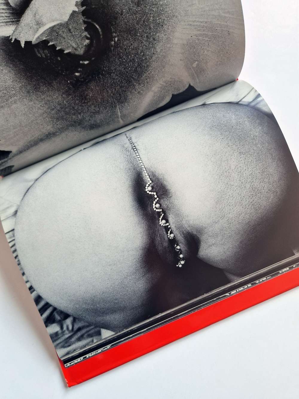 Erotos Nobuyoshi Araki 14 Erotos Nobuyoshi Araki 14