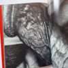 Erotos Nobuyoshi Araki 15 Erotos Nobuyoshi Araki 15