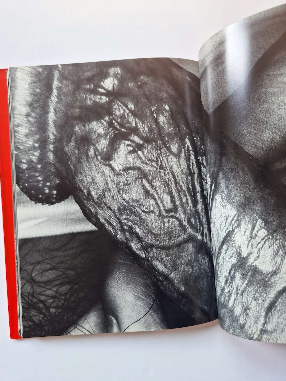 Erotos Nobuyoshi Araki 15 Erotos Nobuyoshi Araki 15