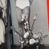 Erotos Nobuyoshi Araki 18 Erotos Nobuyoshi Araki 18