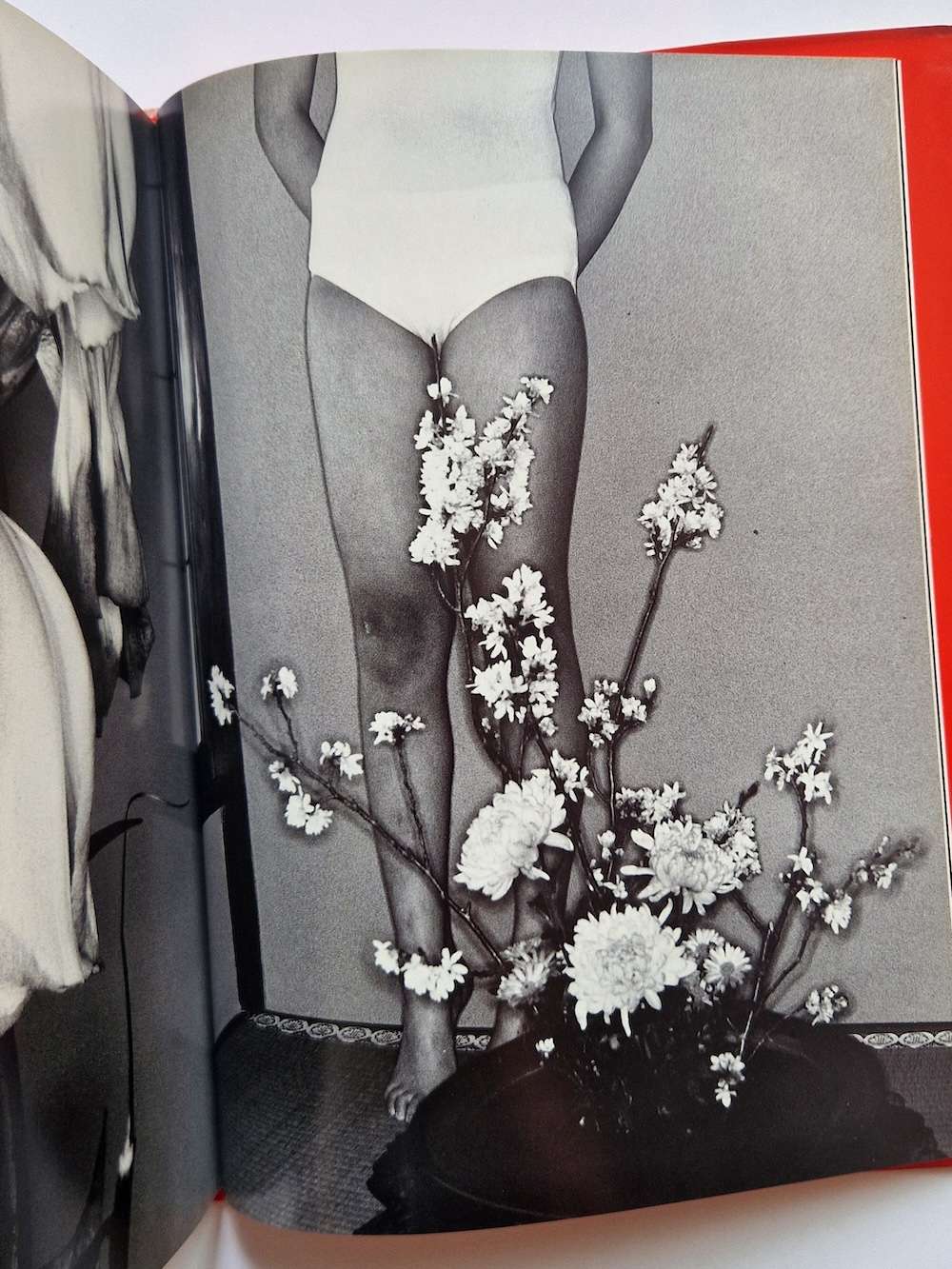 Erotos Nobuyoshi Araki 18 Erotos Nobuyoshi Araki 18