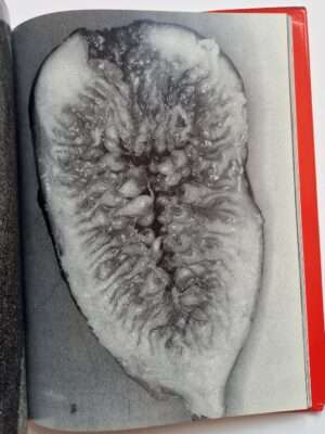 Erotos Nobuyoshi Araki 19 10871