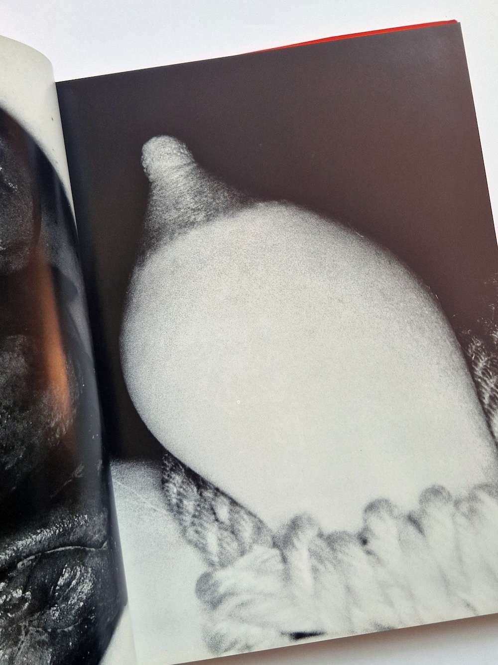 Erotos Nobuyoshi Araki 5 Erotos Nobuyoshi Araki 5