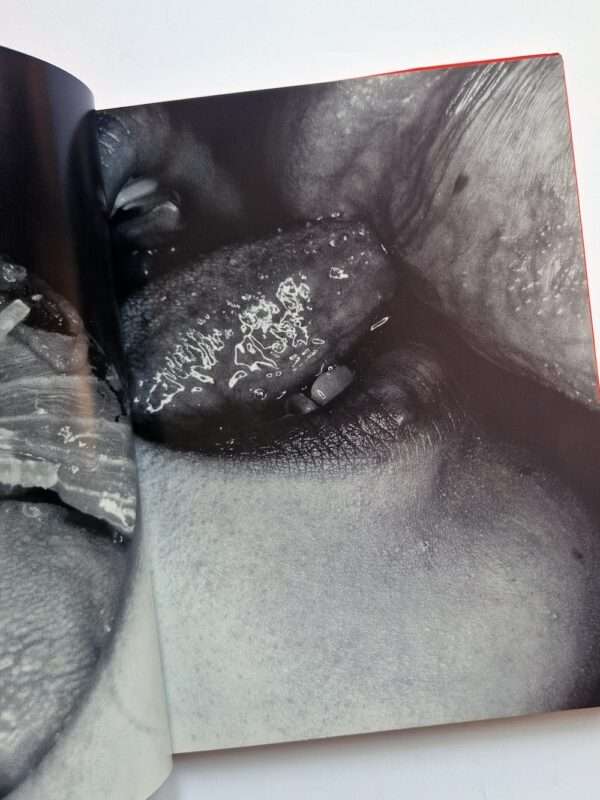 Erotos Nobuyoshi Araki 6