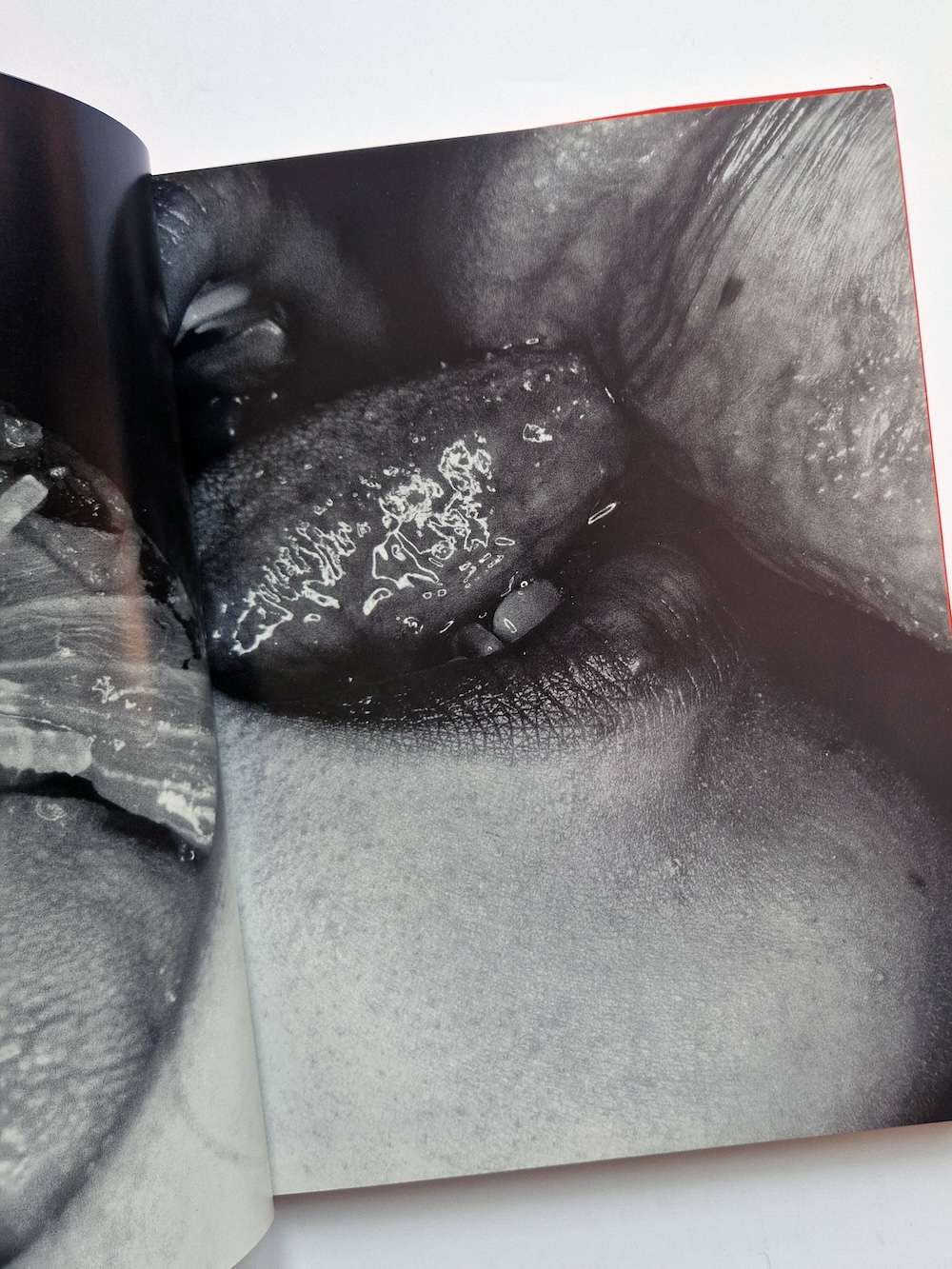 Erotos Nobuyoshi Araki 6 Erotos Nobuyoshi Araki 6