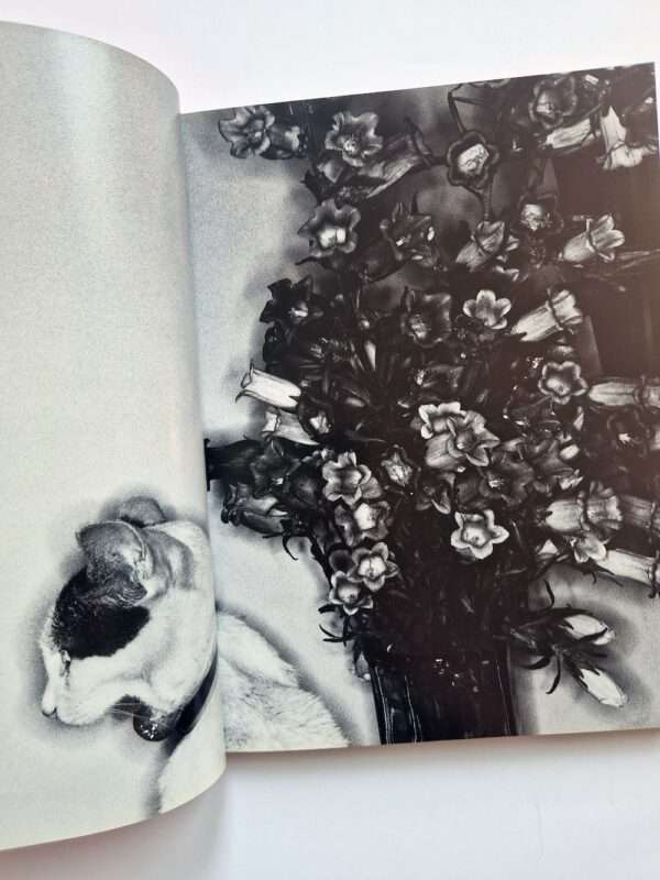 Erotos Nobuyoshi Araki 7