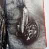 Erotos Nobuyoshi Araki 9 Erotos Nobuyoshi Araki 9