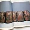 Japanese Tattooing Ransho Masato Sudo 14