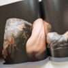 Japanese Tattooing Ransho Masato Sudo 19