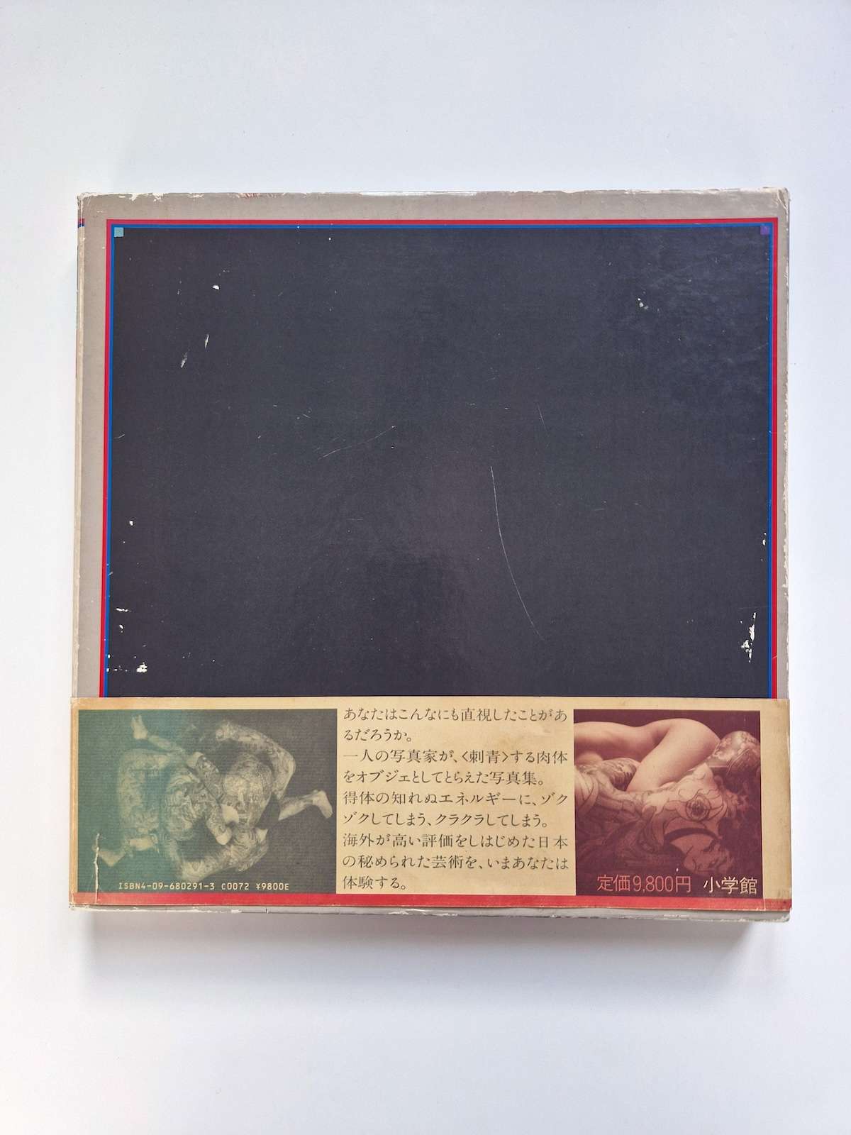 Japanese Tattooing Ransho Masato Sudo 4 Japanese Tattooing Ransho Masato Sudo 4