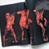 Man Shinorama Kishin Shinoyama 12