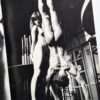 News 3 : Drugstore Kishin Shinoyama 15