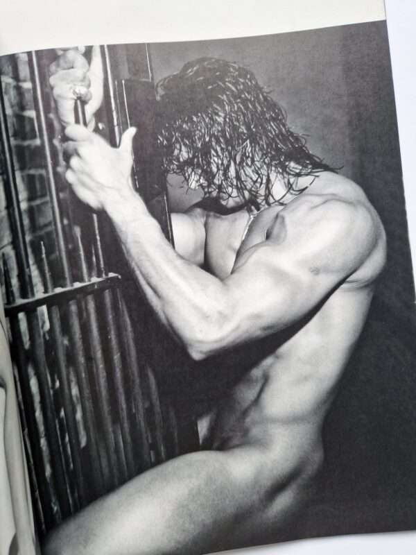 News 3 : Drugstore Kishin Shinoyama 7