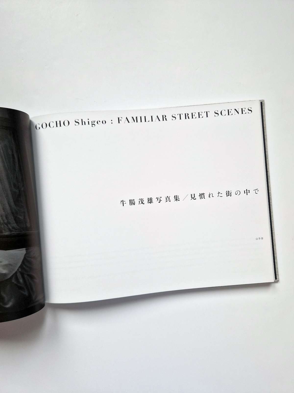 Familiar Street Scenes Gocho Shigeo 1