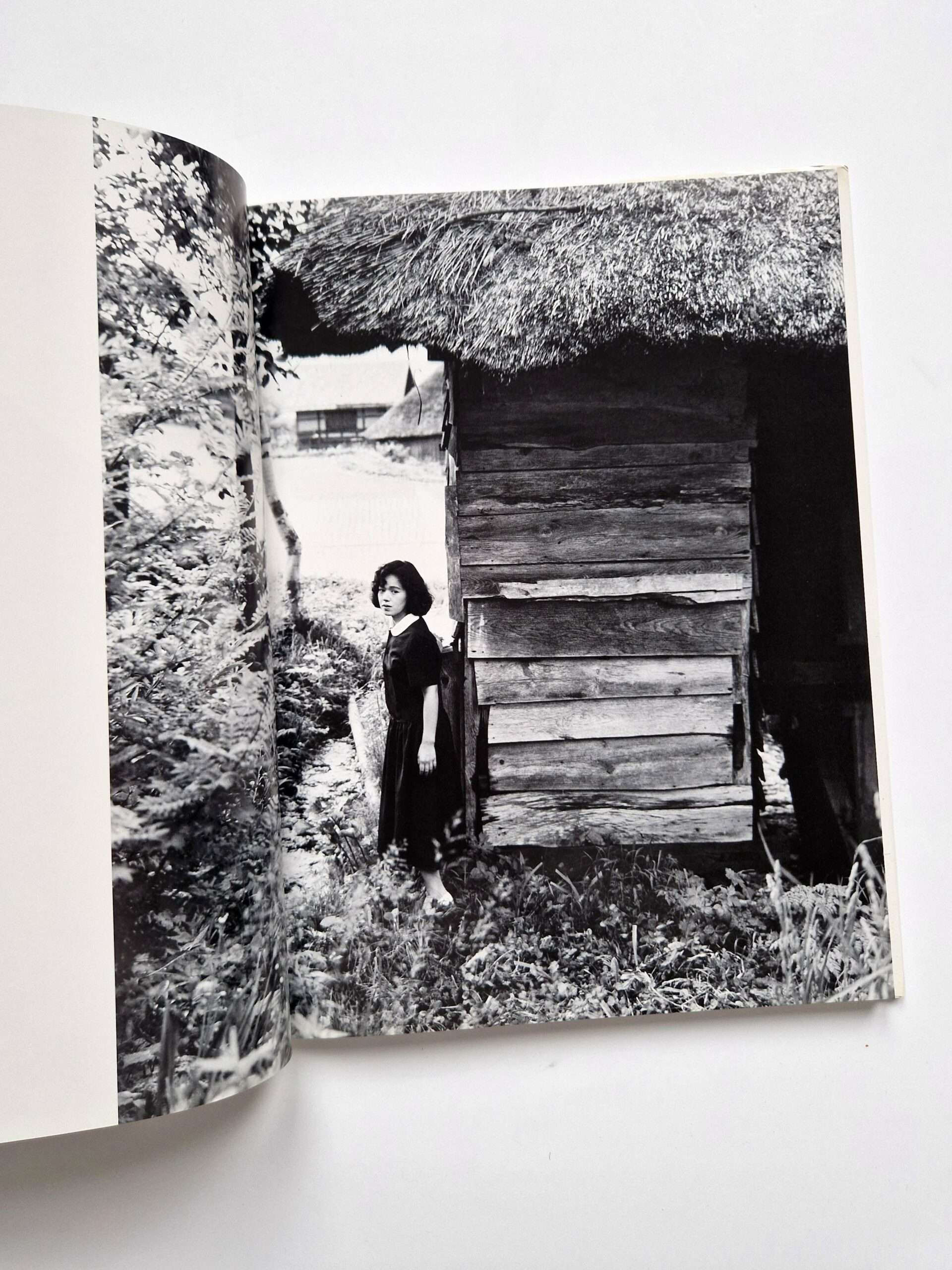 Light of the dark - Kishon Shinoyama - 3