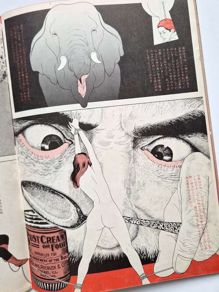 New Self April 1976 17 New Self April 1976 17