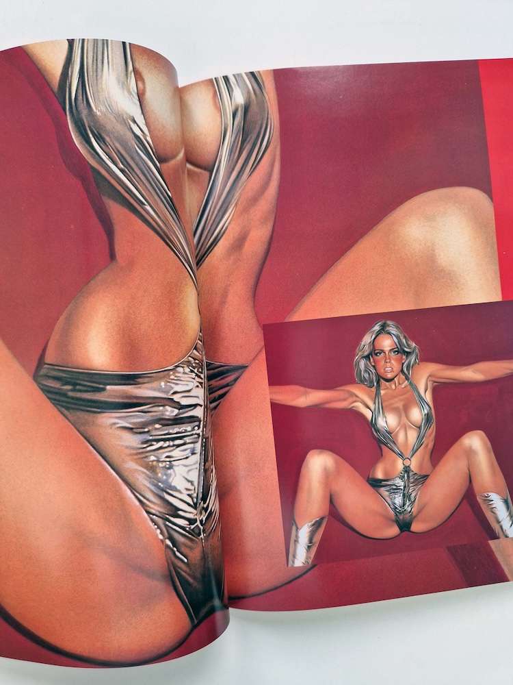 Pin up Hajime Sorayama 14