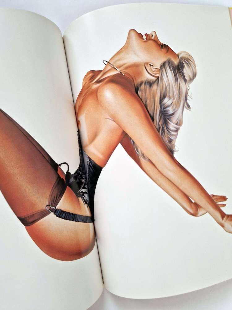 Pin up Hajime Sorayama 7