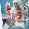 Ultra Kaiju Underwater Knee High Girls Project Manabu Koga 18 Ultra Kaiju Underwater Knee High Girls Project Manabu Koga 18