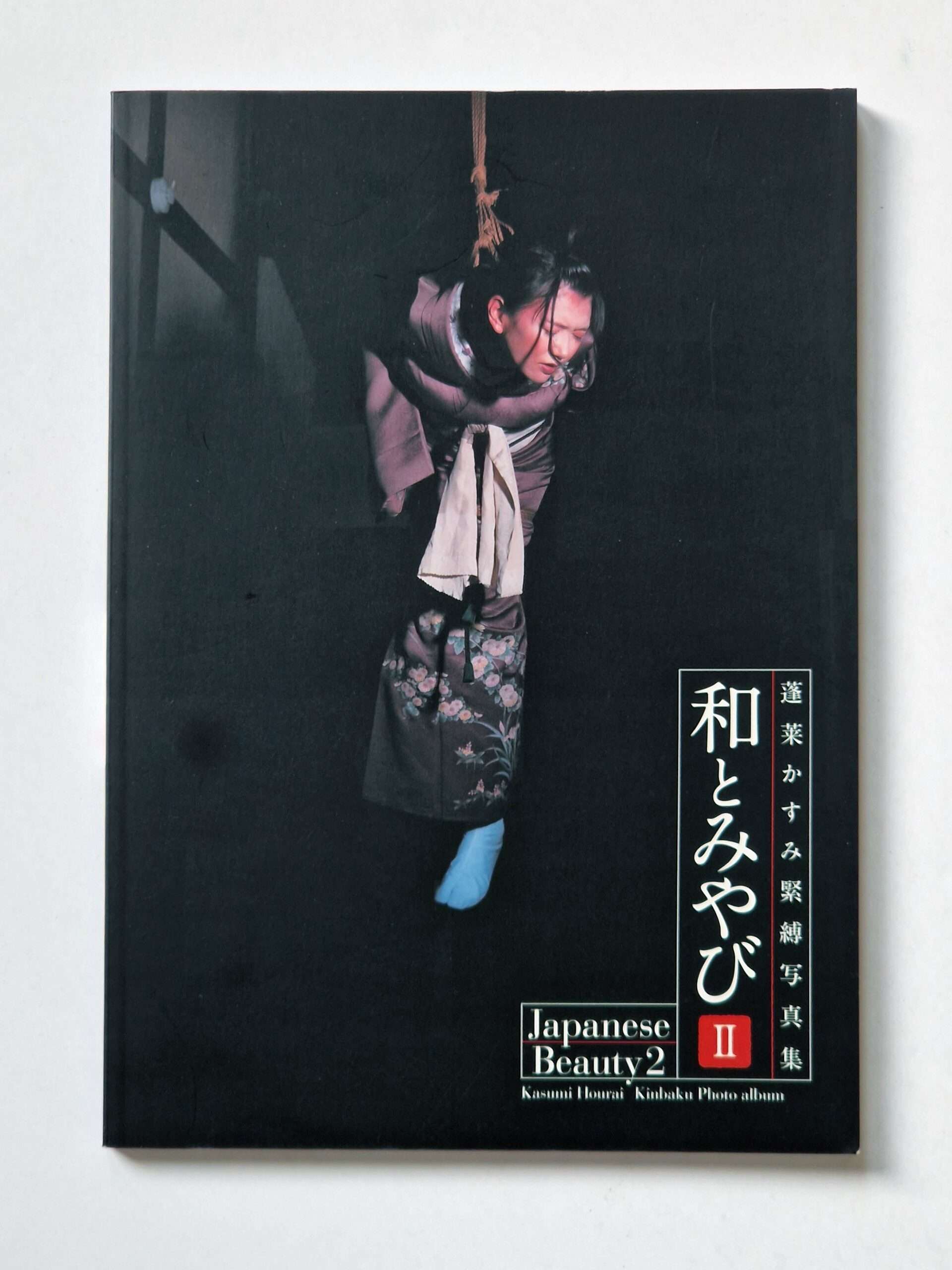 Kasumi Horai s World The House of Kinbaku Vol2 cover Kasumi Horai s World The House of Kinbaku Vol2 cover