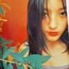 Sugar and Spice Mika Ninagawa 10