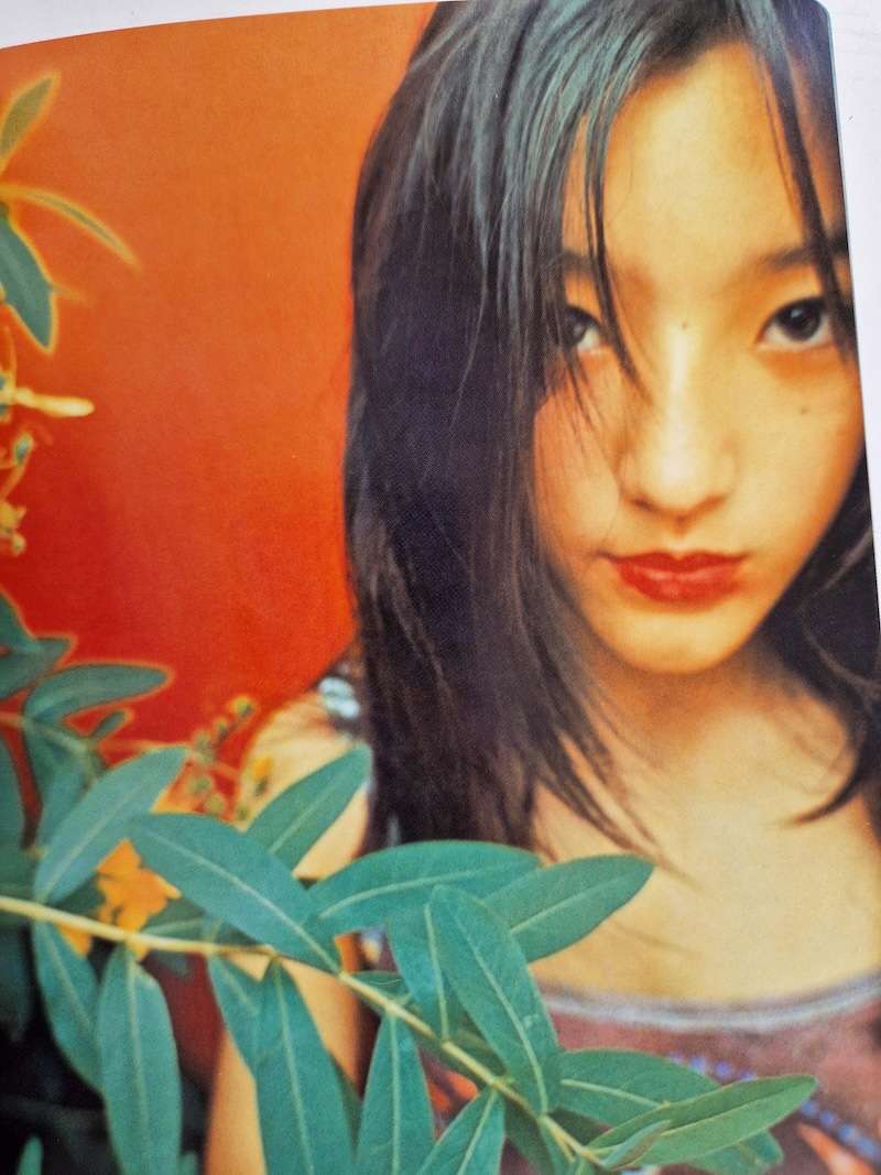 Sugar and Spice Mika Ninagawa 10 Sugar and Spice Mika Ninagawa 10