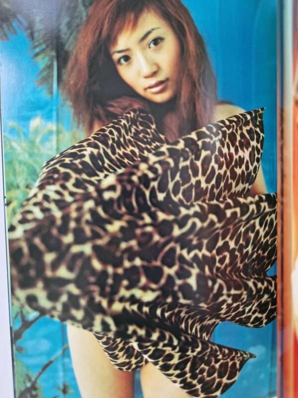 Sugar and Spice Mika Ninagawa 13