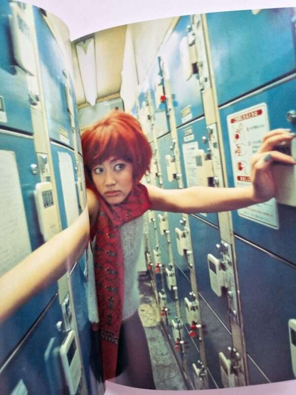 Sugar and Spice Mika Ninagawa 8