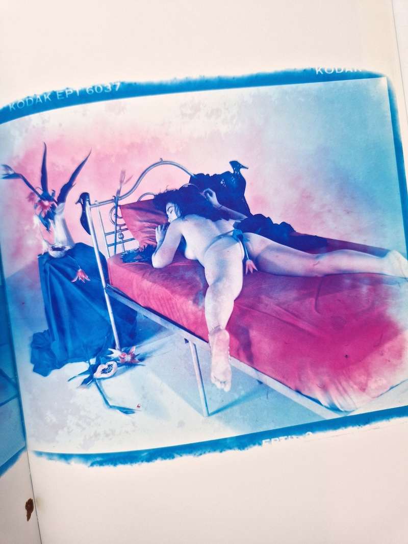 Blue Period & Last Summer Nobuyoshi Araki 18 Blue Period & Last Summer Nobuyoshi Araki 18