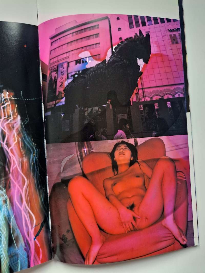 Blue Period & Last Summer Nobuyoshi Araki 29 Blue Period & Last Summer Nobuyoshi Araki 29