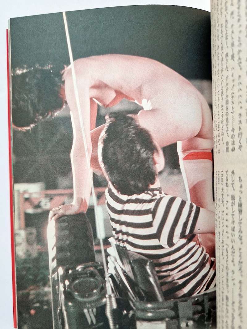 Fake Diary of a High School Girl Nobuyoshi Araki 11 Fake Diary of a High School Girl Nobuyoshi Araki 11