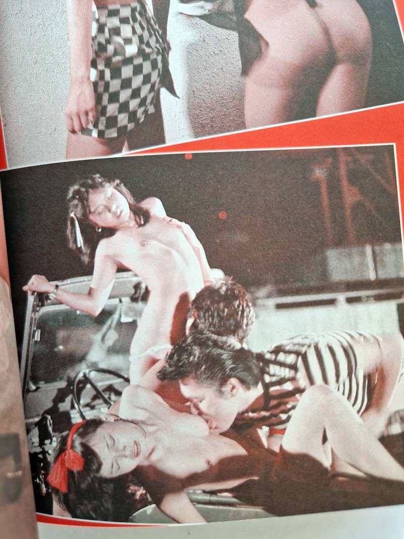 Fake Diary of a High School Girl Nobuyoshi Araki 12 Fake Diary of a High School Girl Nobuyoshi Araki 12