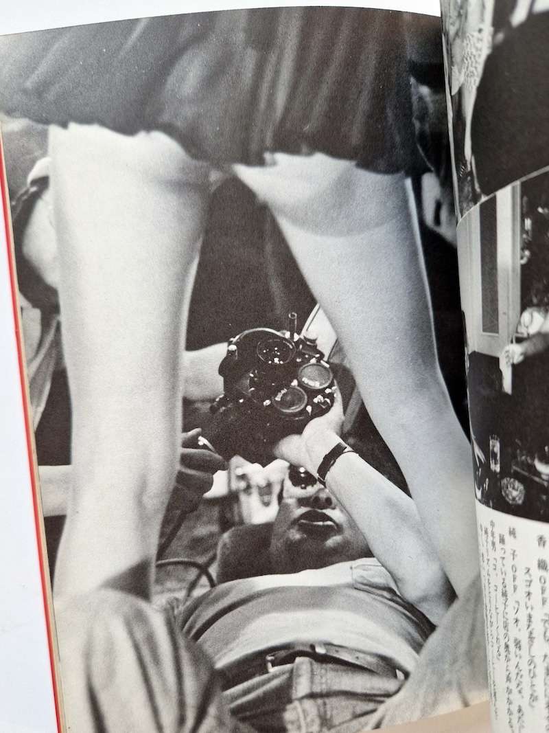 Fake Diary of a High School Girl Nobuyoshi Araki 14 Fake Diary of a High School Girl Nobuyoshi Araki 14