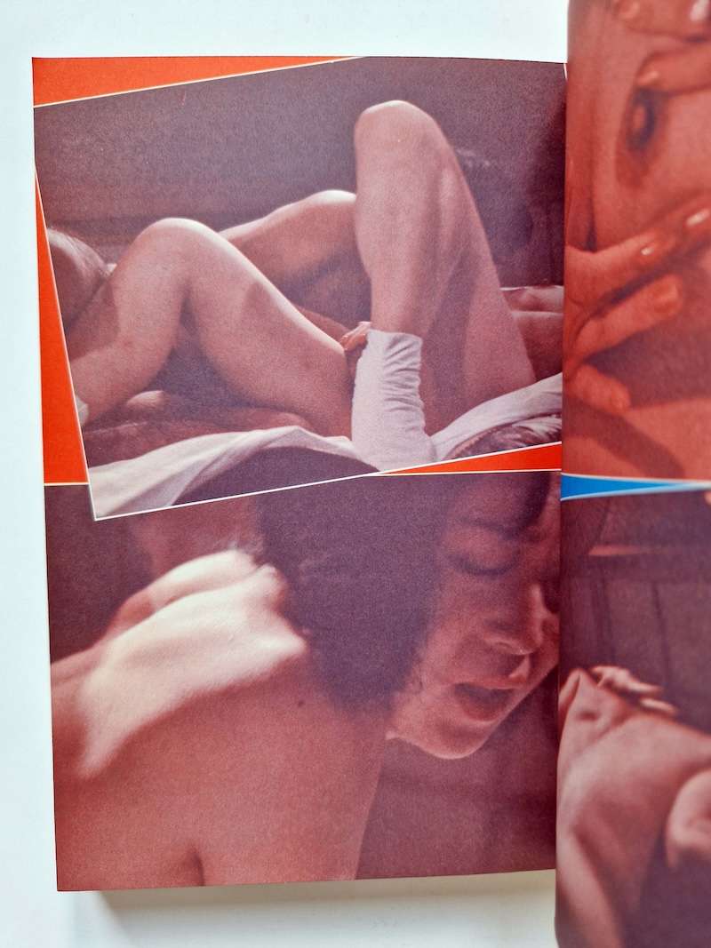 Fake Diary of a High School Girl Nobuyoshi Araki 5 Fake Diary of a High School Girl Nobuyoshi Araki 5