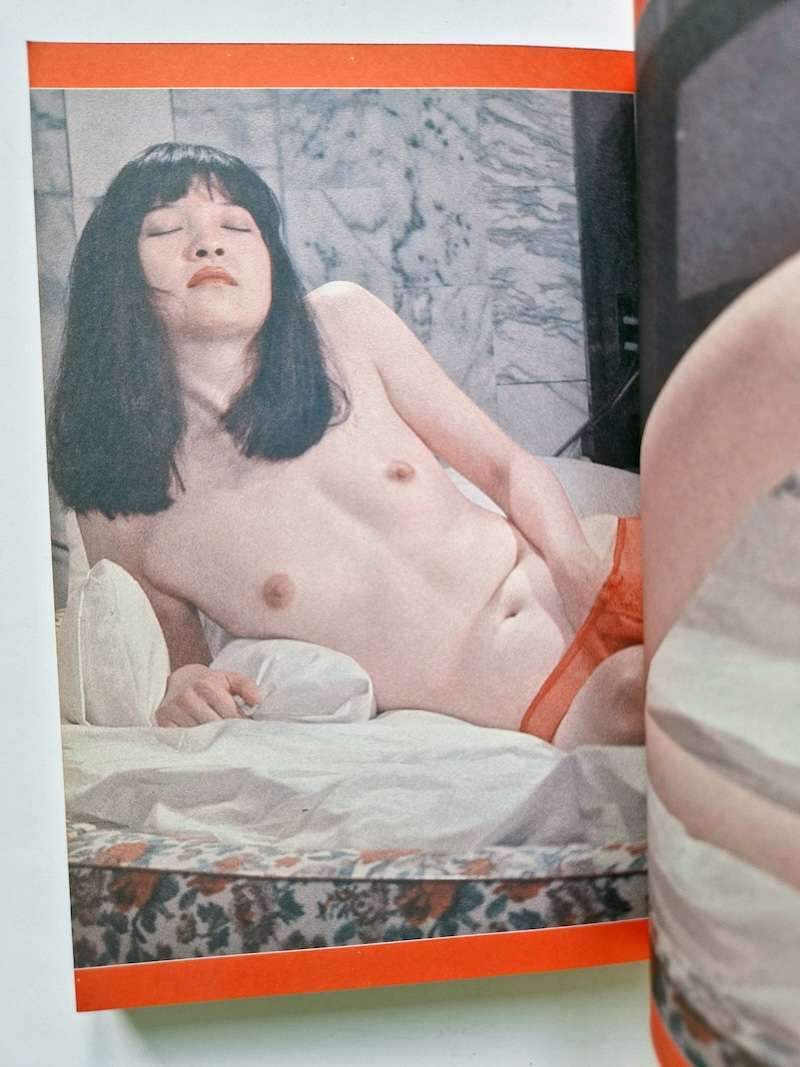 Fake Diary of a High School Girl Nobuyoshi Araki 6 Fake Diary of a High School Girl Nobuyoshi Araki 6