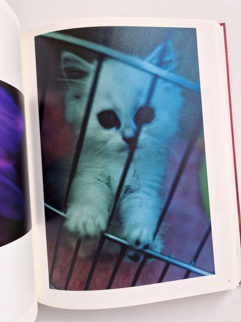 Mika Ninagawa Self Image 12 Mika Ninagawa Self Image 12