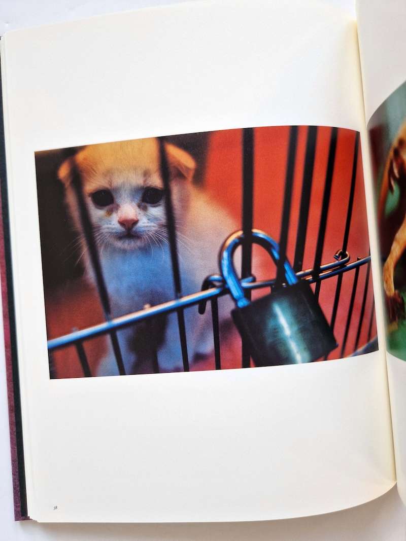 Mika Ninagawa Self Image 19 Mika Ninagawa Self Image 19