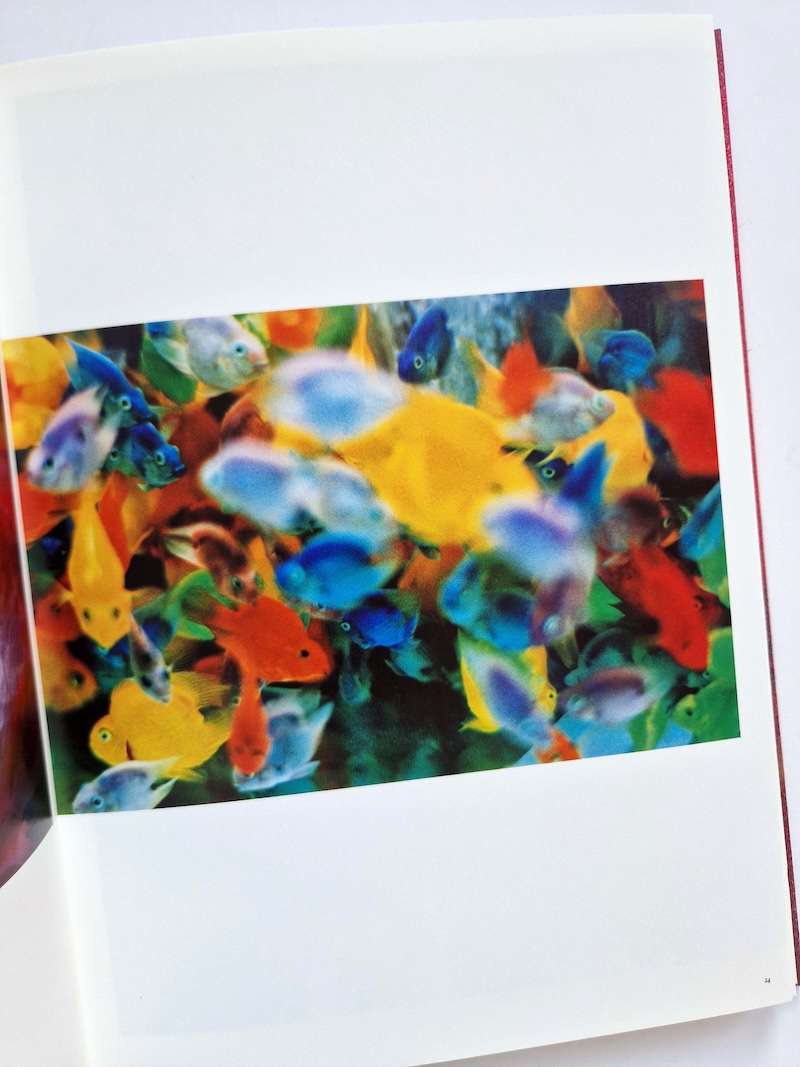 Mika Ninagawa Self Image 20 Mika Ninagawa Self Image 20