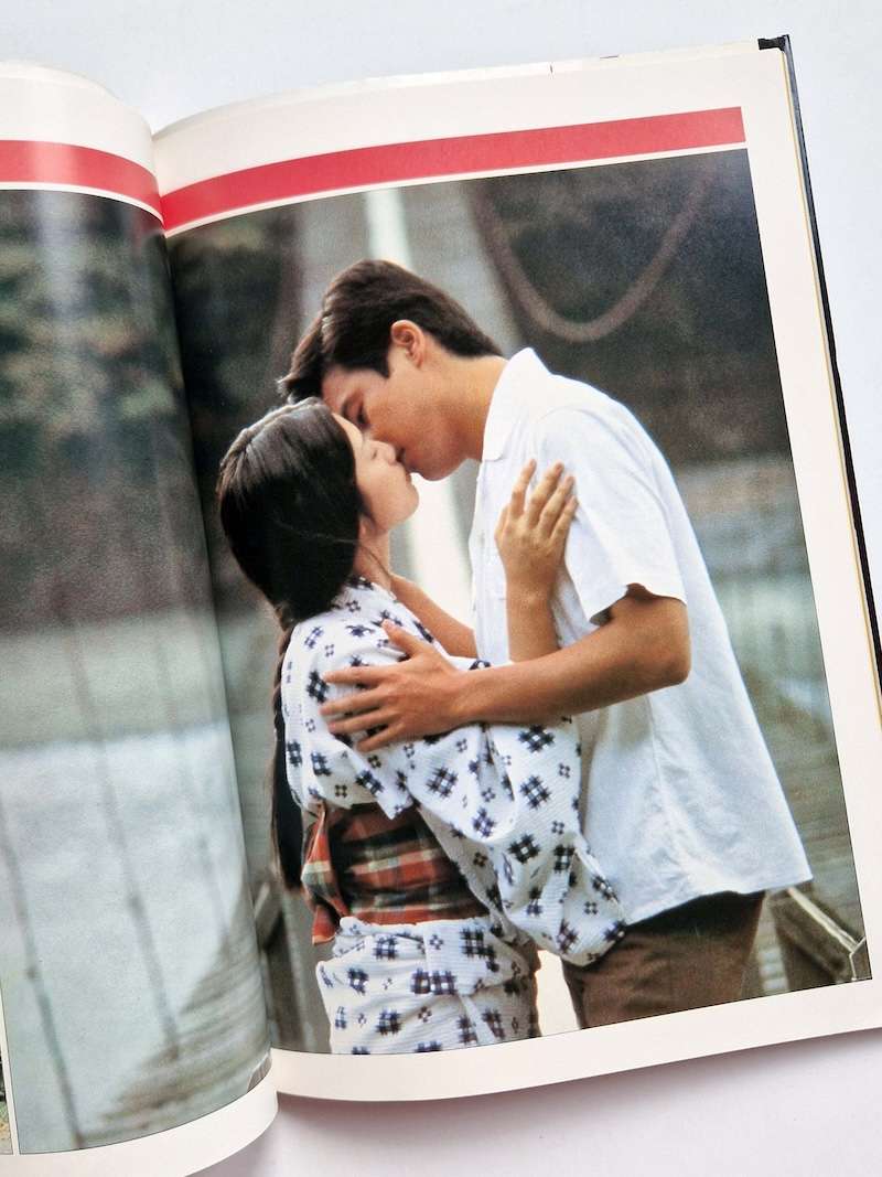 Momoe Yamaguchi Screen・Graphity 12