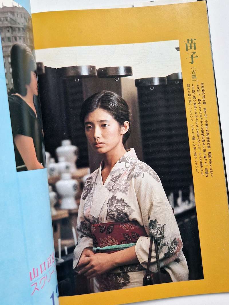 Momoe Yamaguchi Screen・Graphity 18