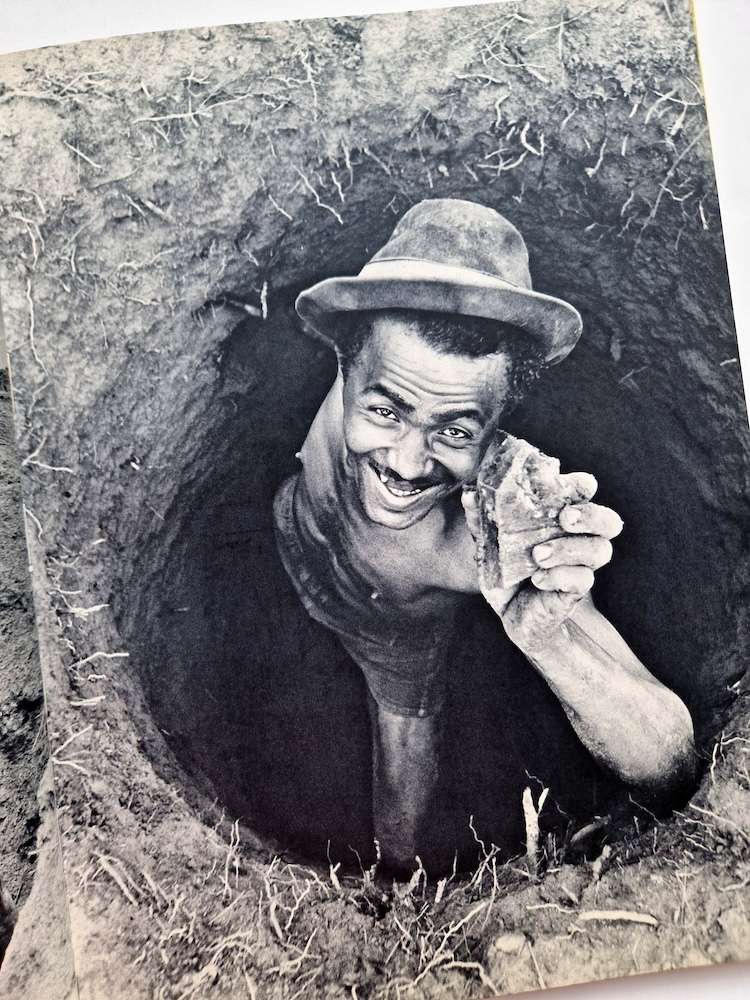 Samba Samba Brasil Jun Miki Signed 27 Samba Samba Brasil Jun Miki Signed 27