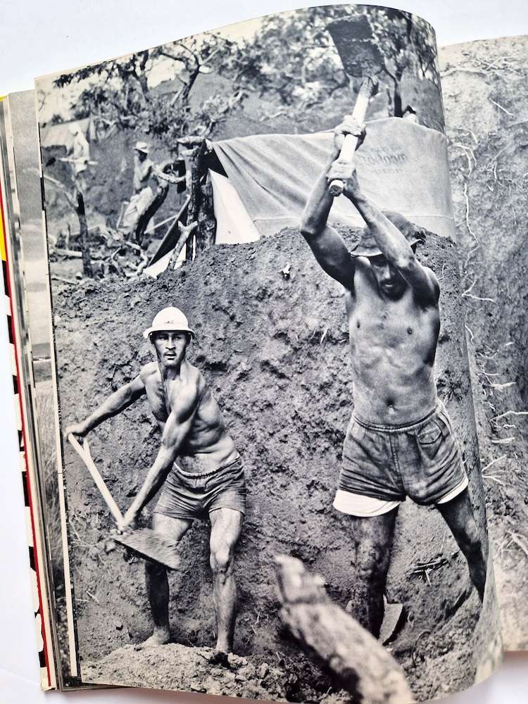 Samba Samba Brasil Jun Miki Signed 28 Samba Samba Brasil Jun Miki Signed 28