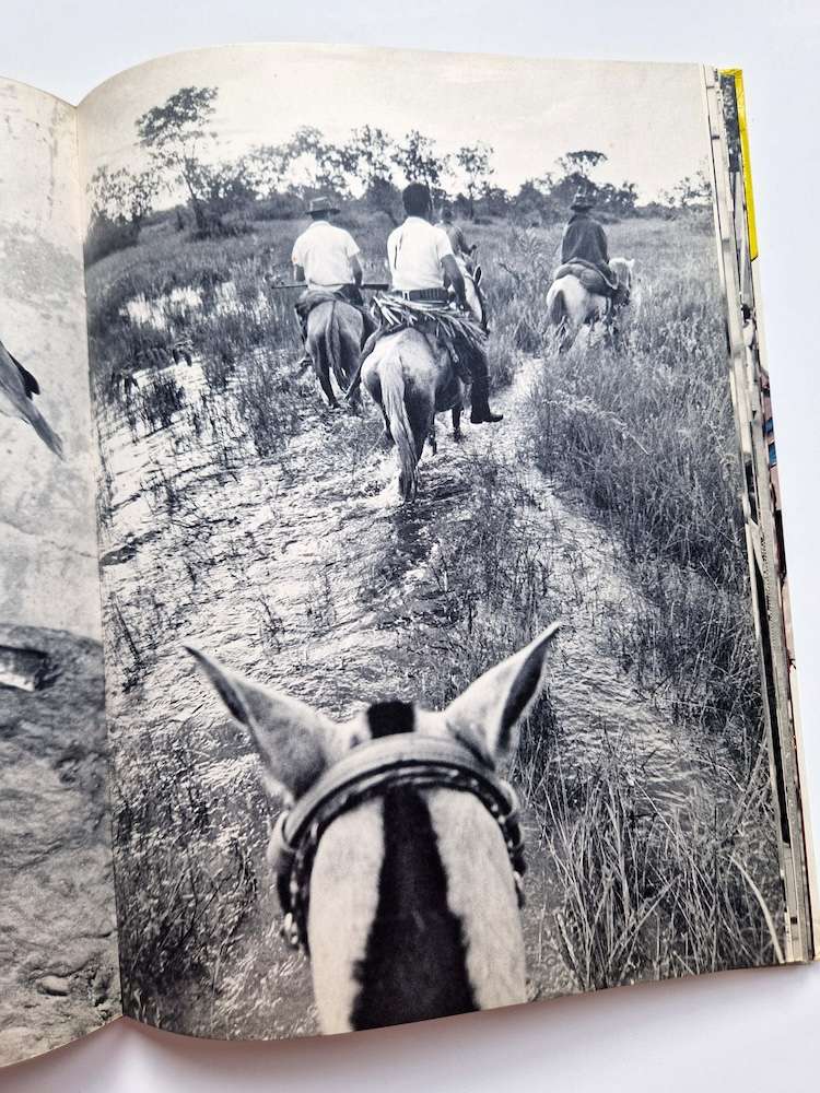 Samba Samba Brasil Jun Miki Signed 44 Samba Samba Brasil Jun Miki Signed 44