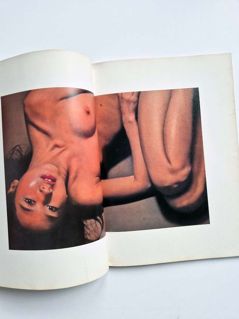 Terumi Sei Taniguchi Restock 4