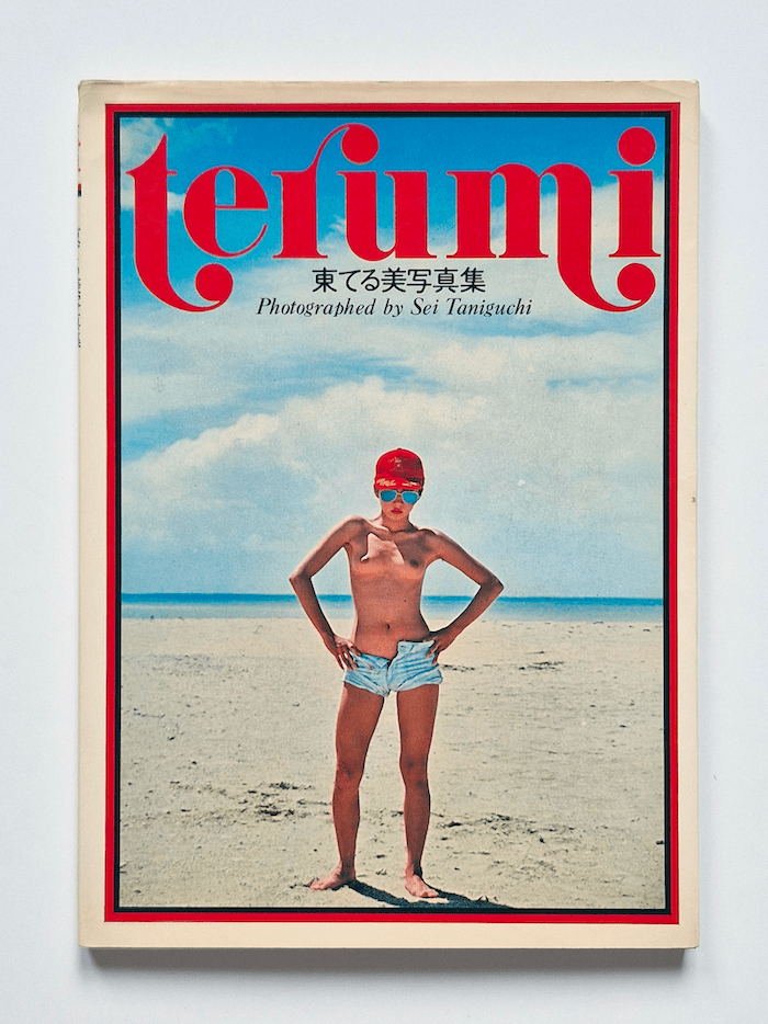 Terumi Sei Taniguchi Restock cover