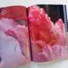 Keiko Sekine — PICTORIAL Kazumi Kurigami 20