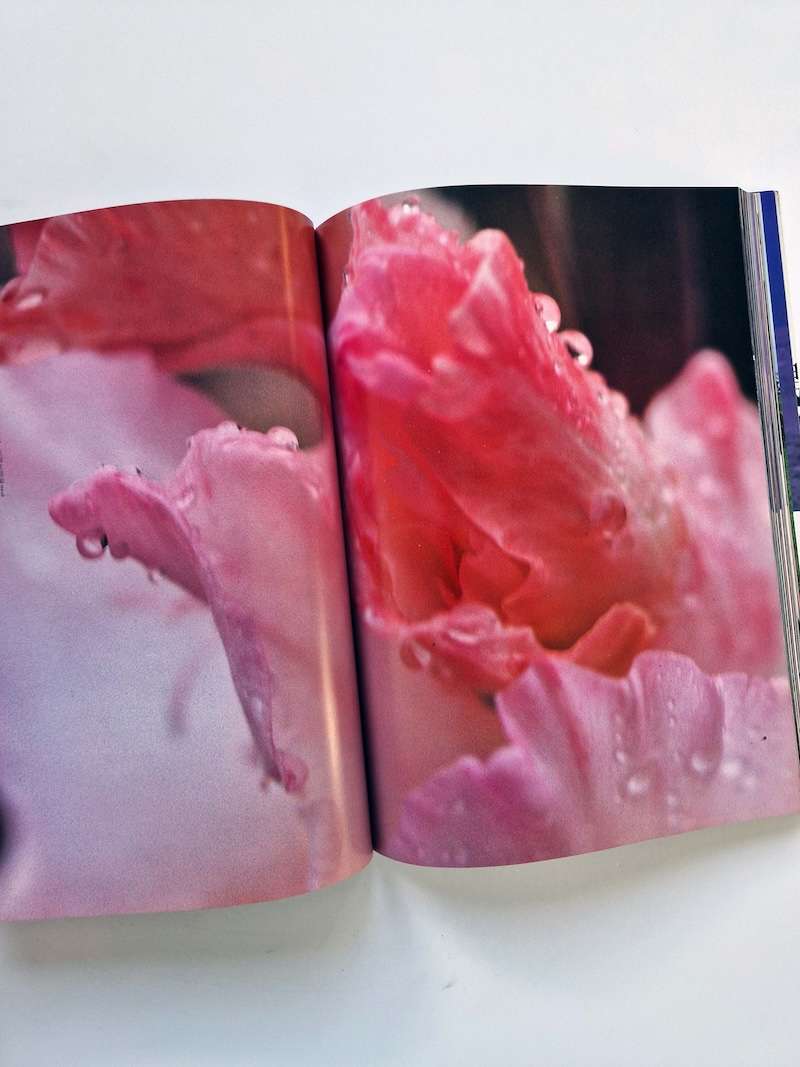 Keiko Sekine — PICTORIAL Kazumi Kurigami 20